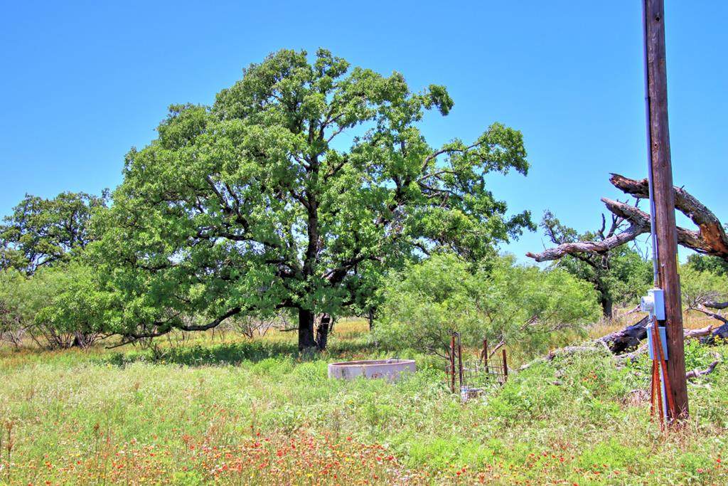 0 Ranch Rd 1323 - Photo 1