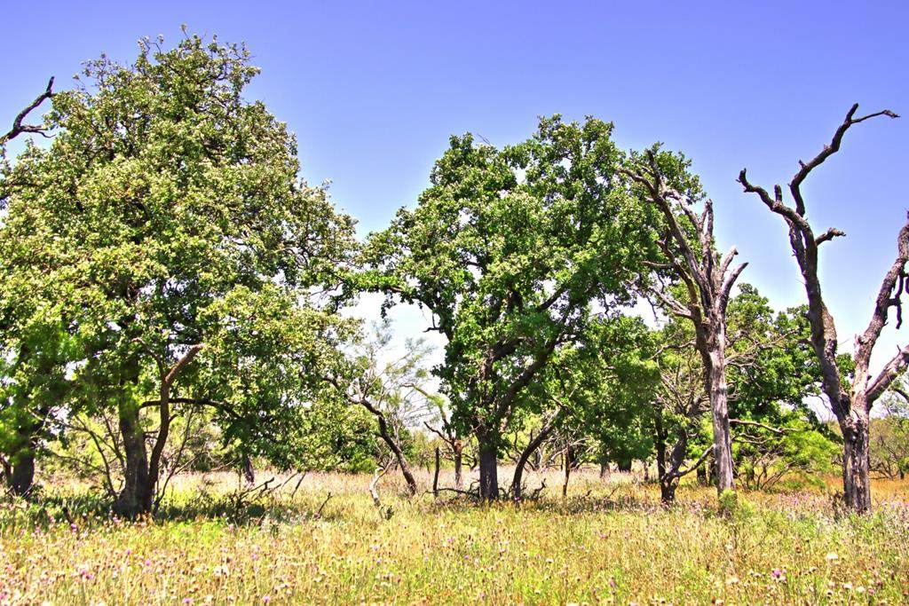 0 Ranch Rd 1323 - Photo 1