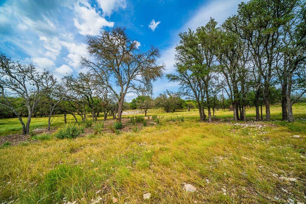 230 Blue Oak - Photo 1