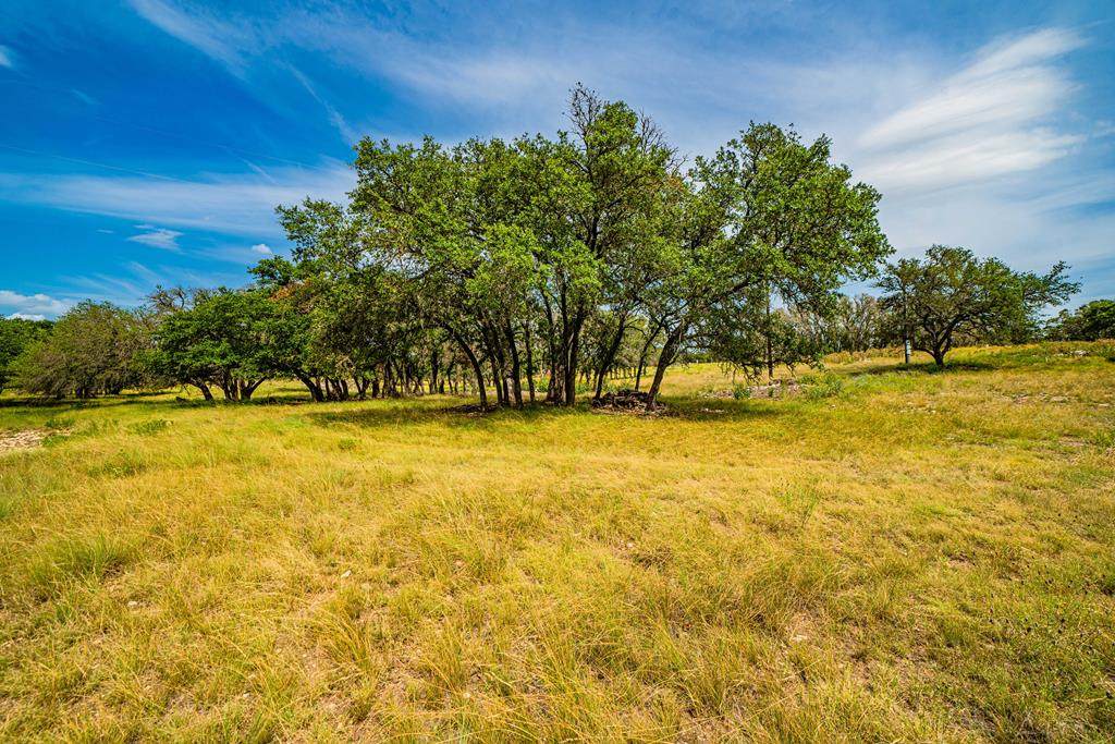 326 Blue Oak - Photo 1