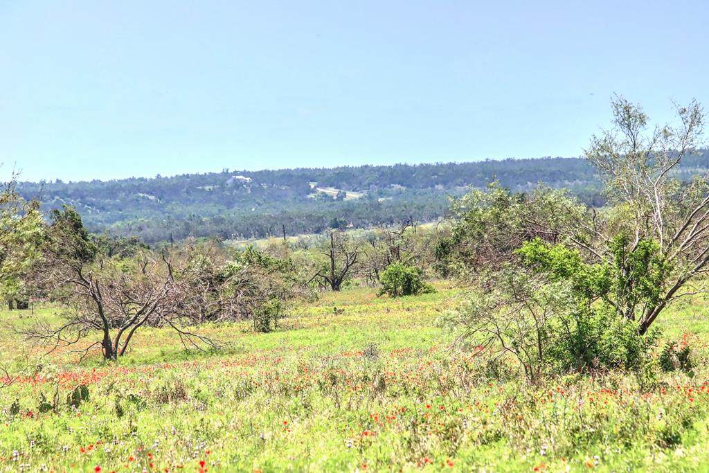 0 Box Canyon Trl - Photo 1