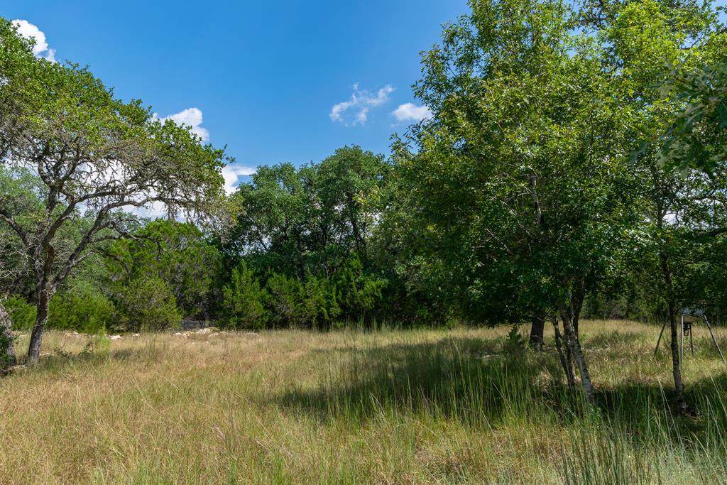 1259 Forest View Dr - Photo 1