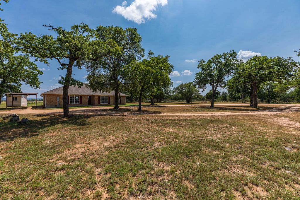 2184 Jung Lane - Photo 1