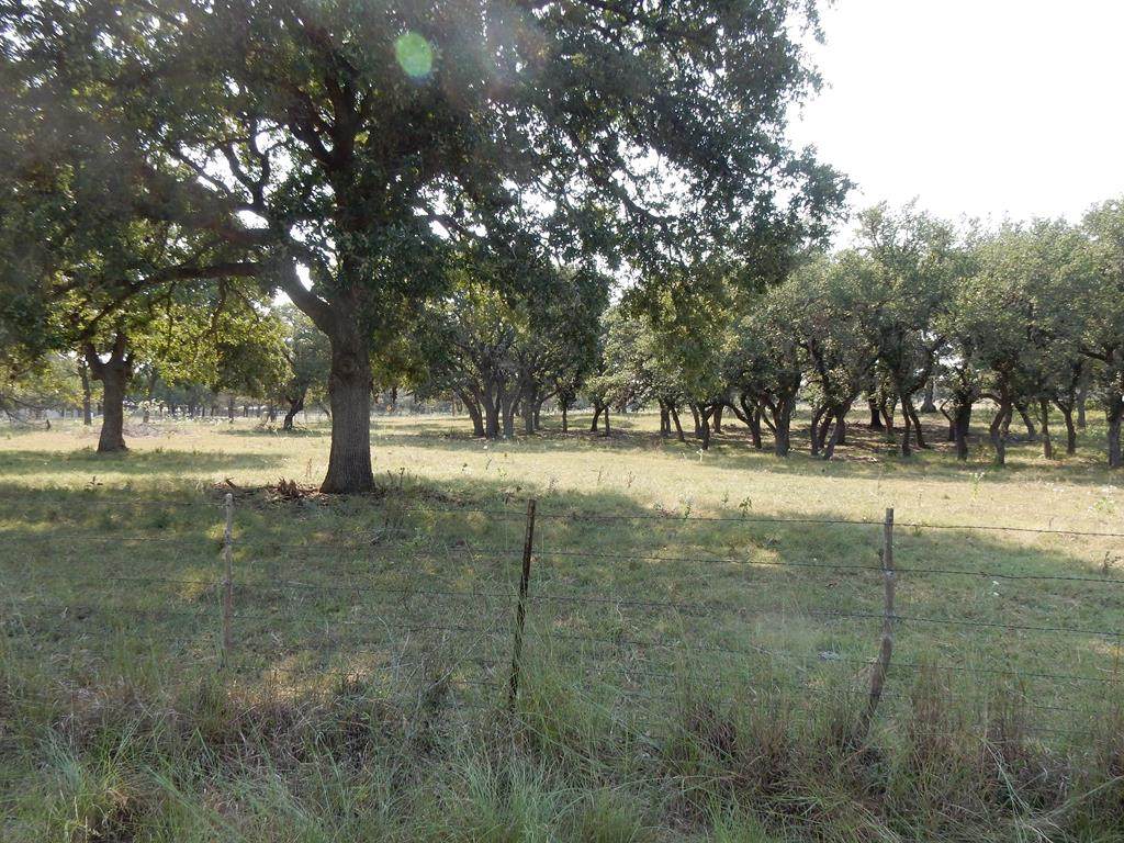 8735 Old San Antonio Rd - Photo 1