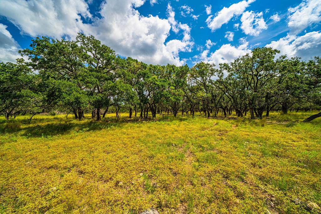 7 Black Jack Ranch Rd - Photo 1