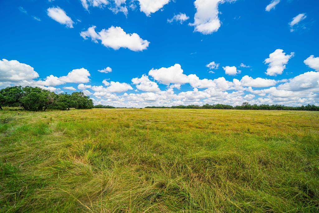 3 Black Jack Ranch Rd - Photo 1