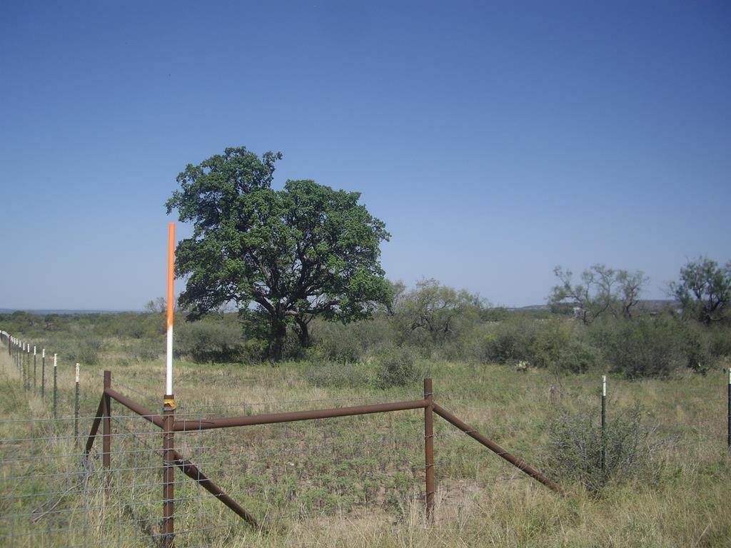 0000 Regu Rd - Photo 1