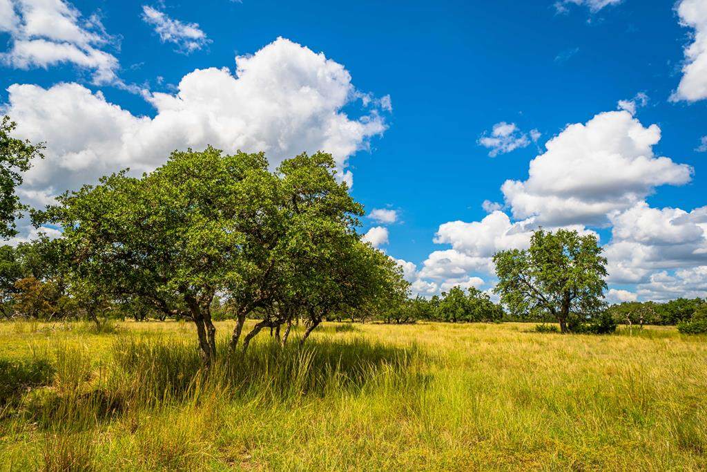 17 Black Jack Ranch Rd - Photo 1