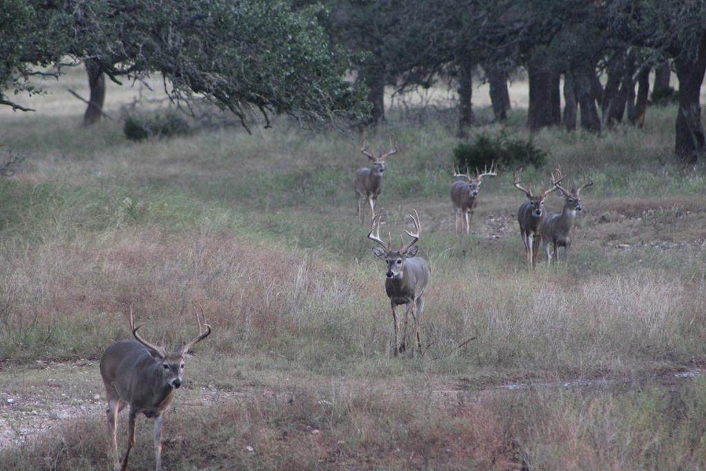 27 Black Jack Ranch Rd - Photo 1