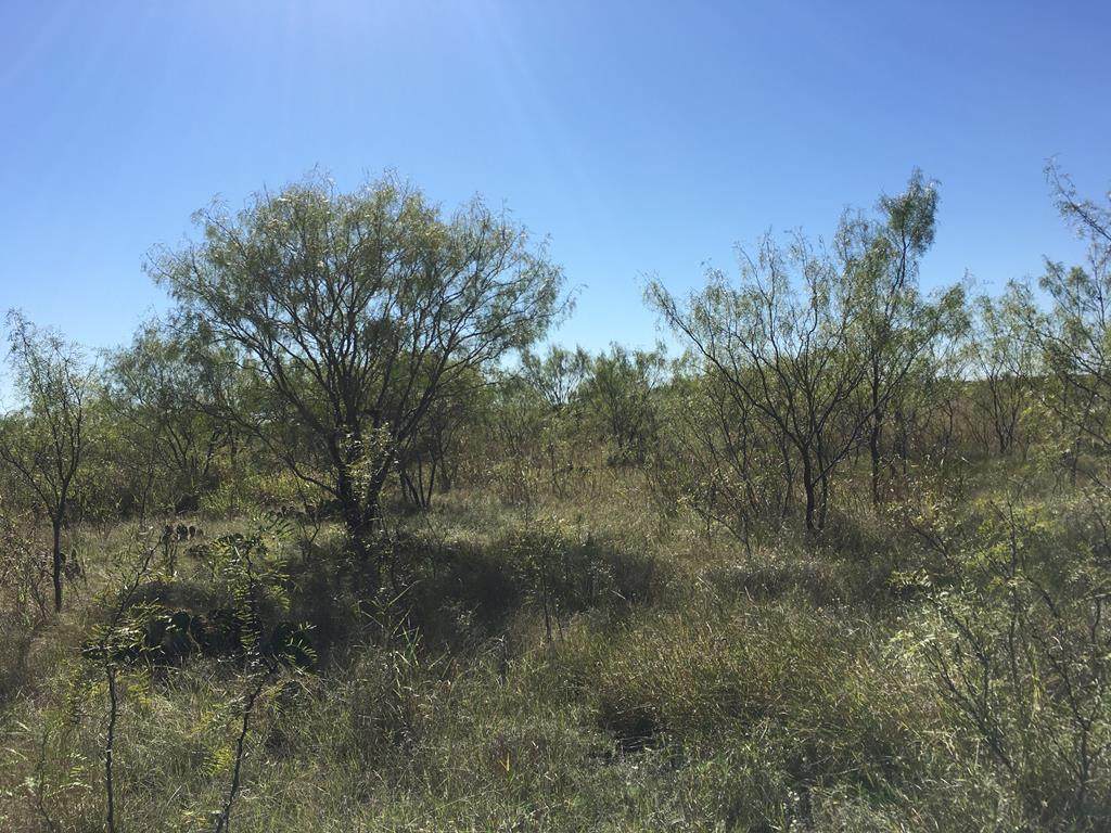 0 County Rd 156 - Photo 1