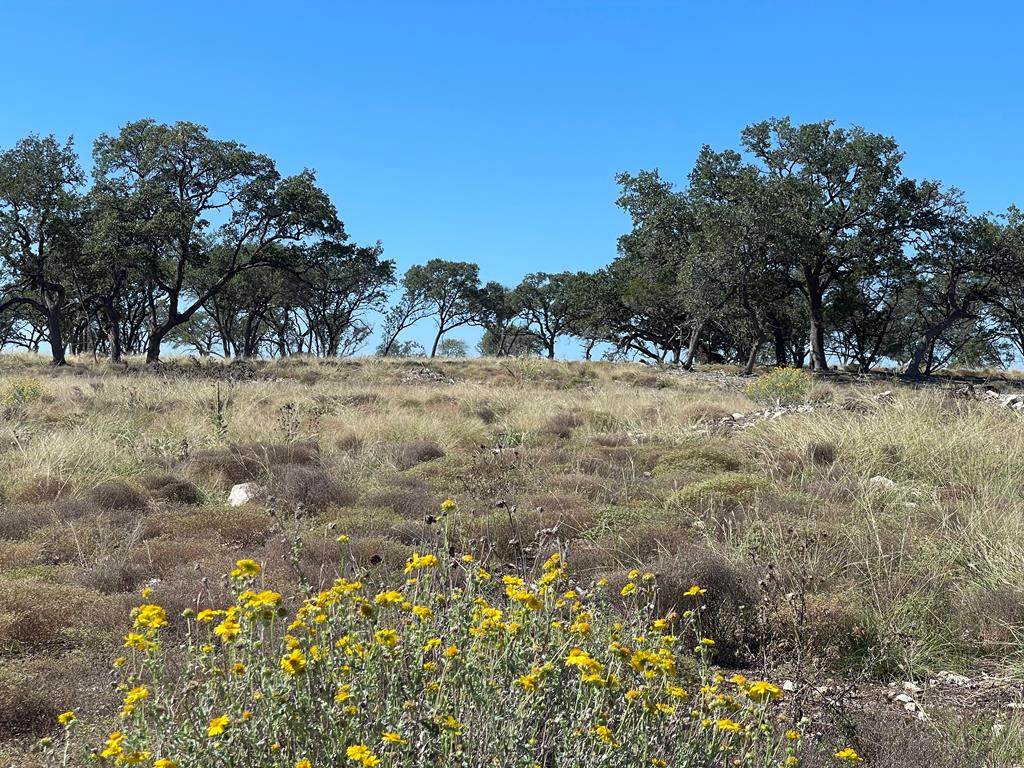 6337 State Hwy 16 - Photo 1