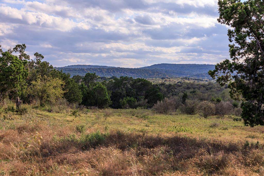 TBD1 Ranch Rd 3347 - Photo 1