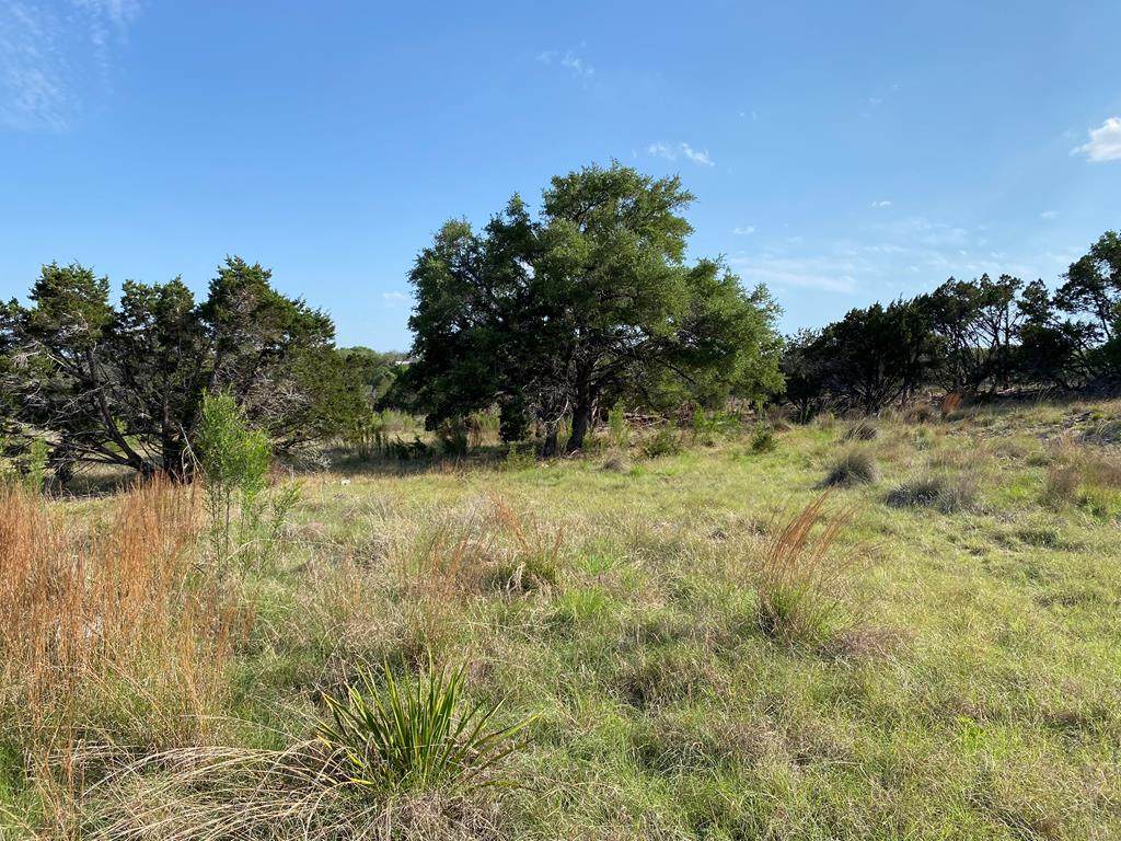 00--- Ranch Rd 1376 - Photo 1