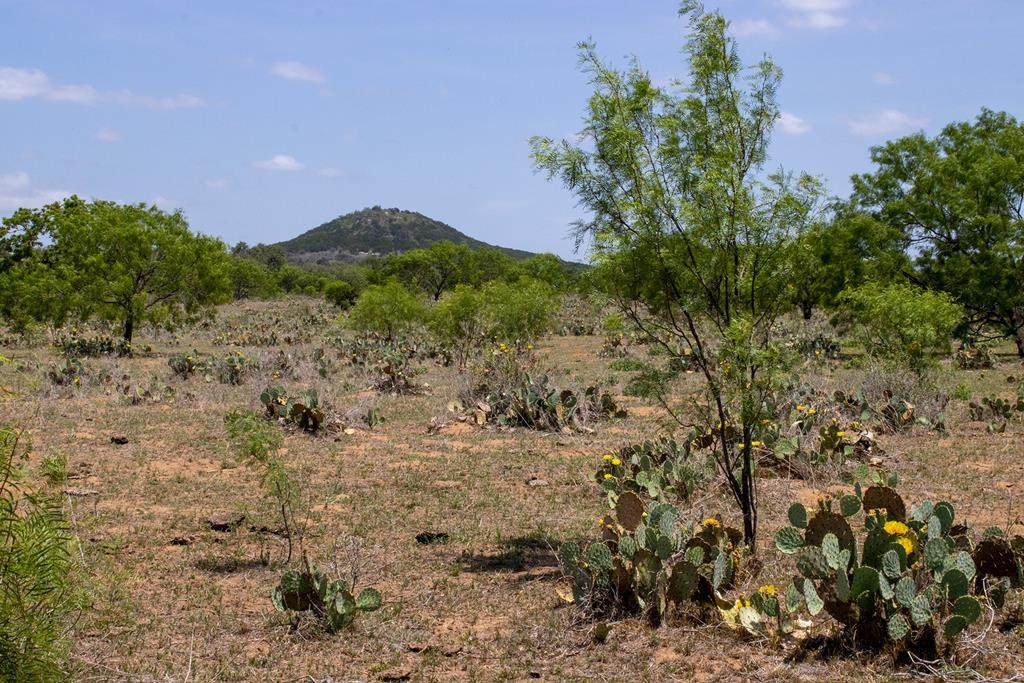 7785 Ranch Rd 2241 - Photo 1