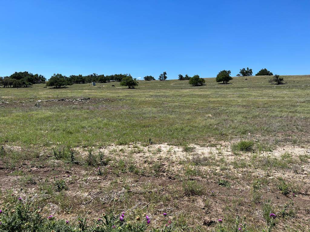 Lot 19 Reeh Rd - Photo 1