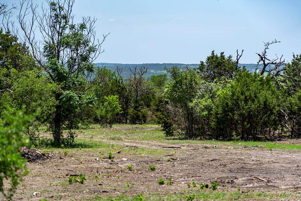 Lot 12 The Views Blvd - Photo 1