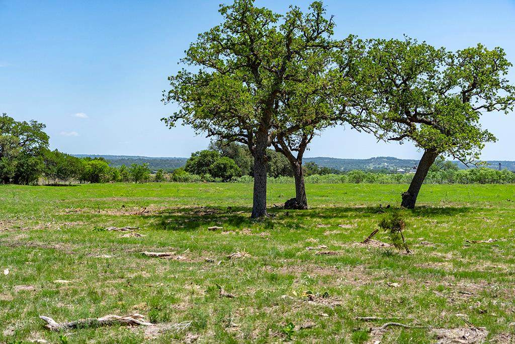 Lot 27 Far View Lane - Photo 1