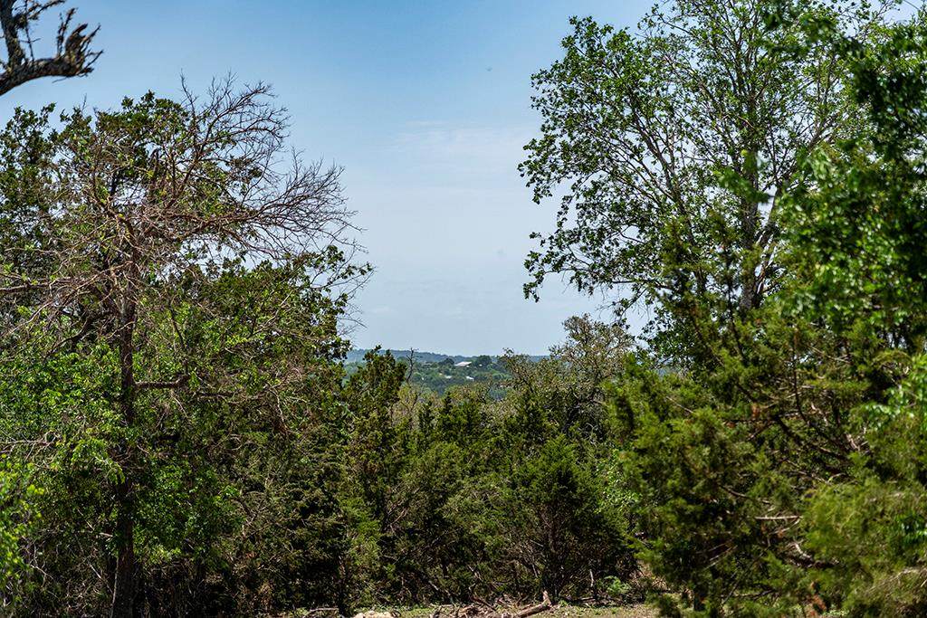 Lot 7 The Views Blvd - Photo 1