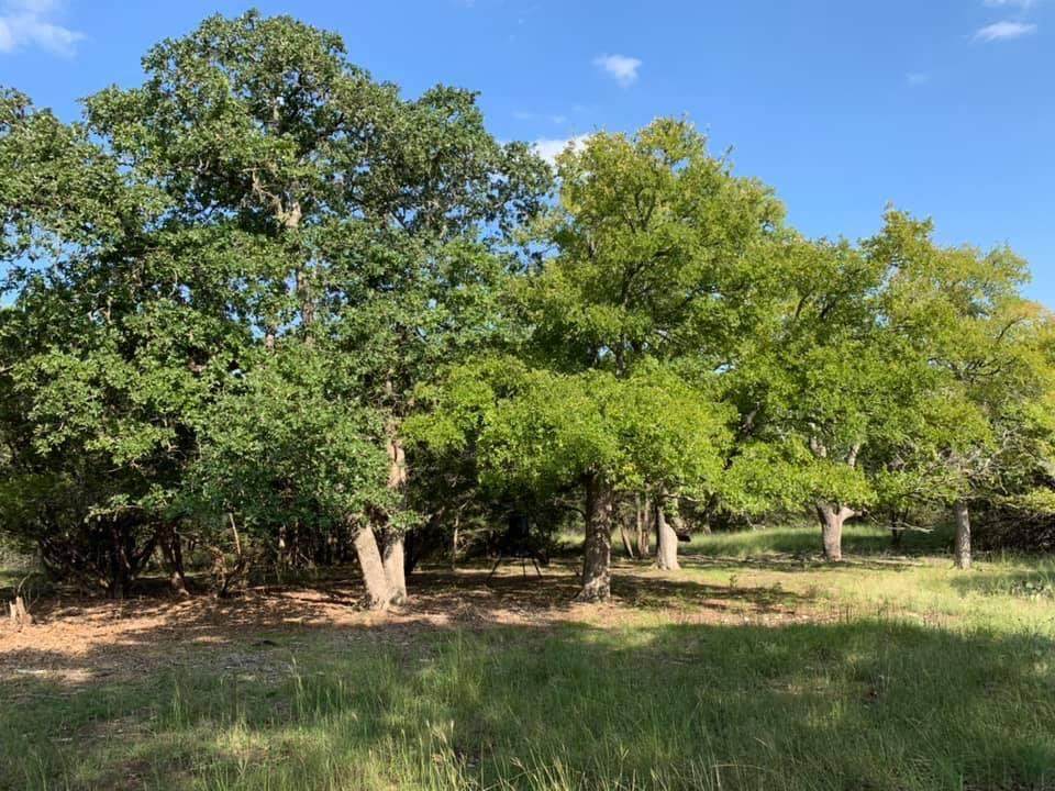 118 Vaquero Dr - Photo 1