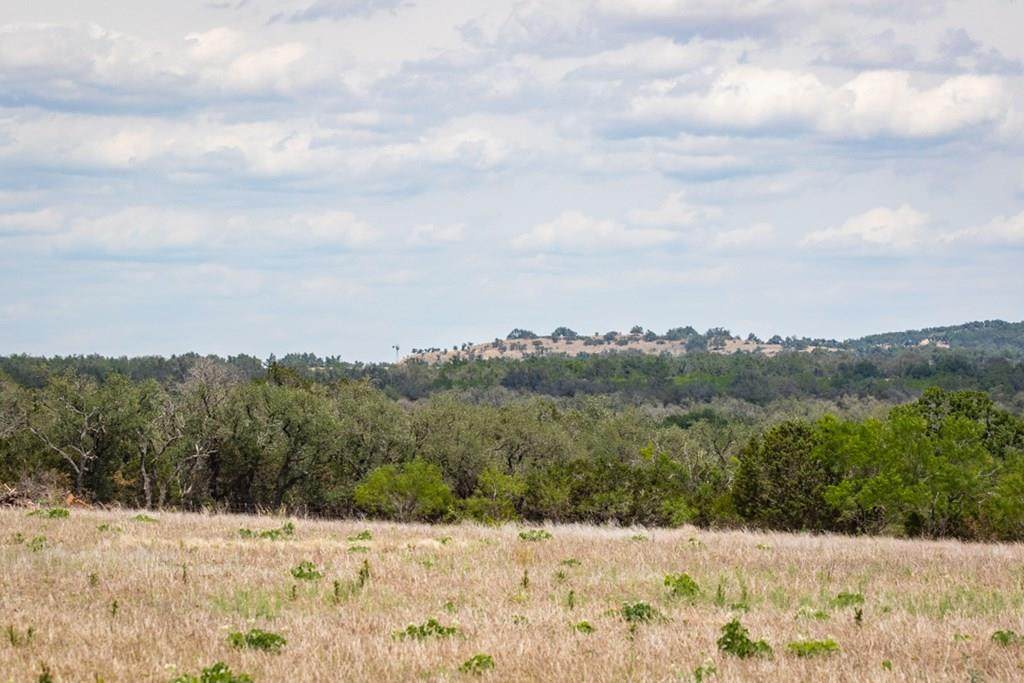 TBD Gold-Schaefer Rd - Photo 1