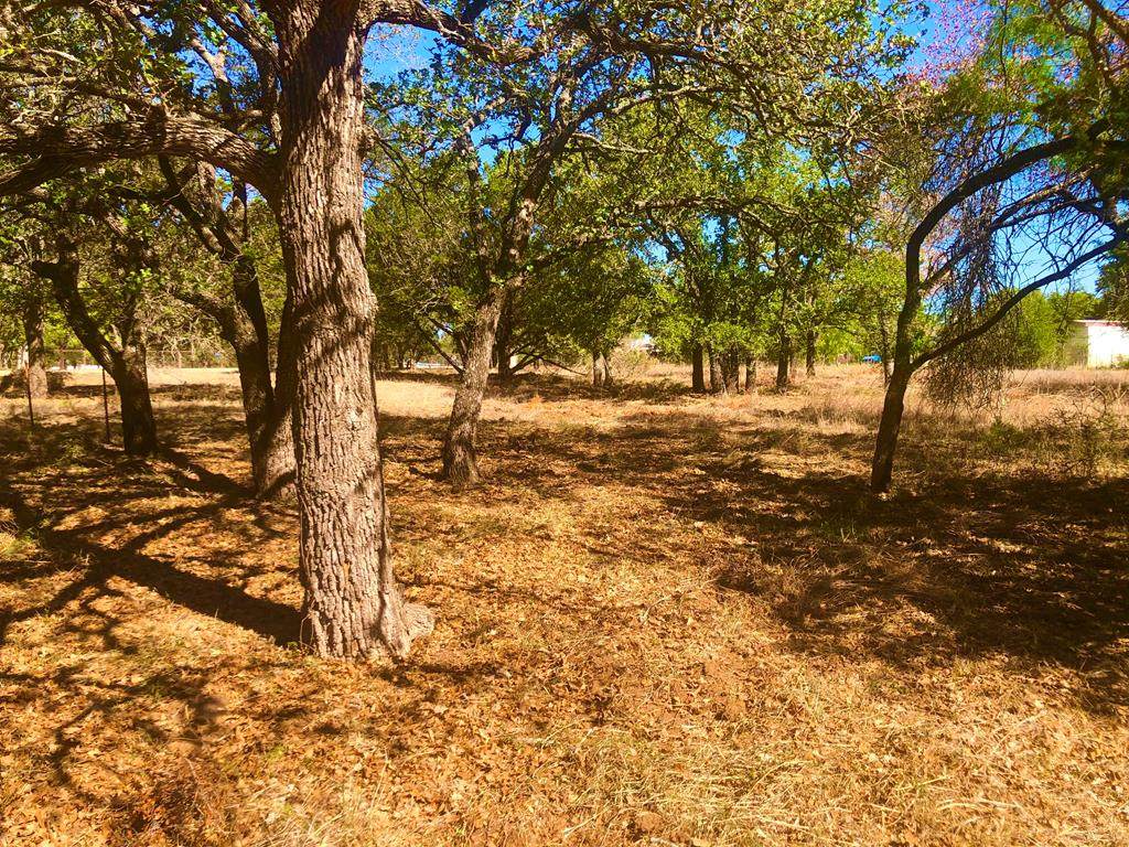 403 Cemetary Rd - Photo 1