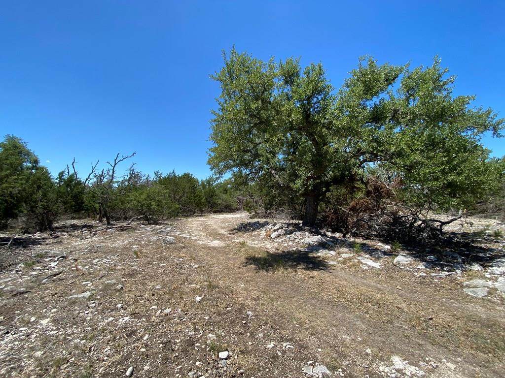 000 Pecan Creek Rd - Photo 1