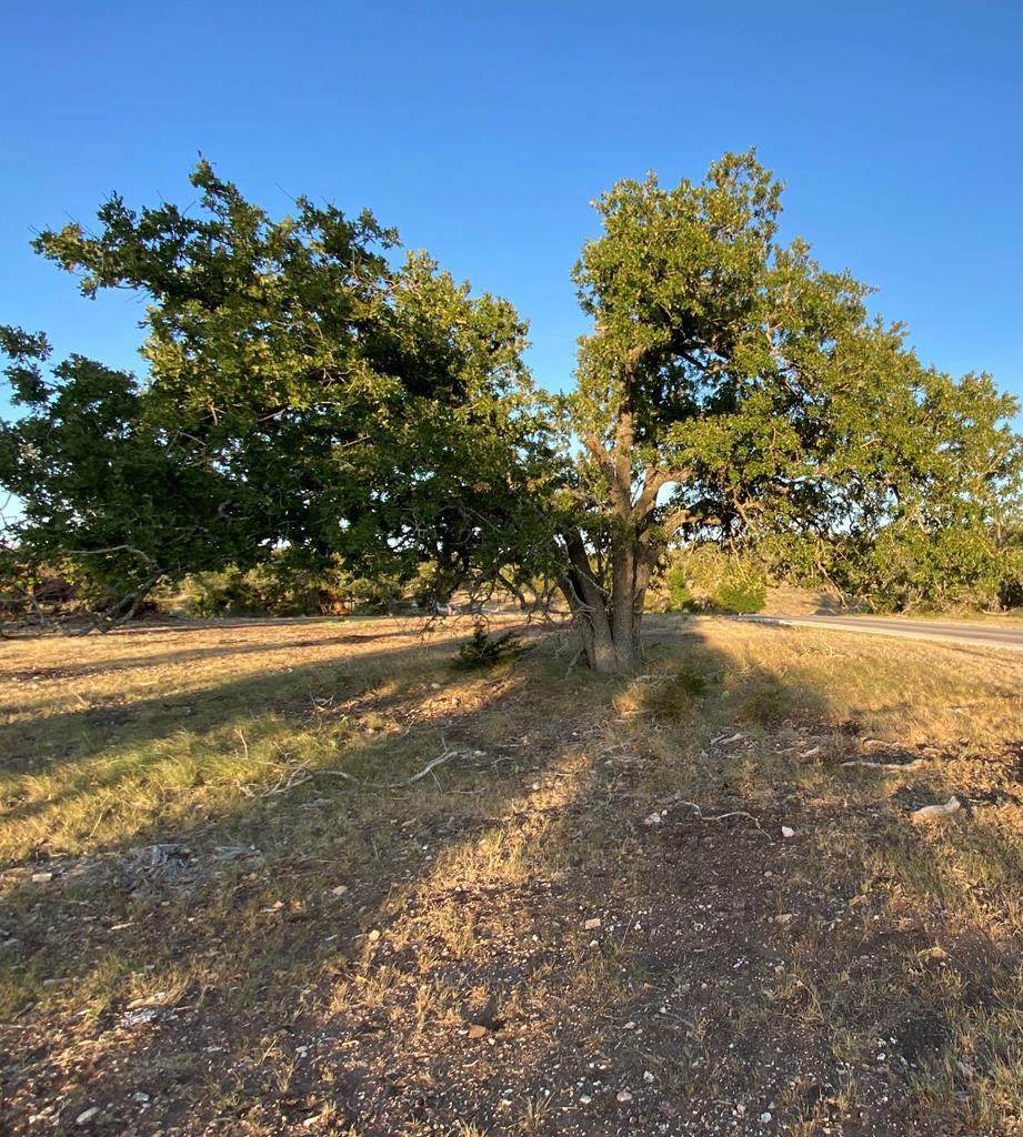 000 Pecan Creek Rd - Photo 1