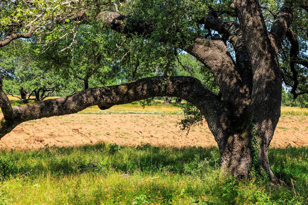 3736-5 County Rd 113 - Photo 1