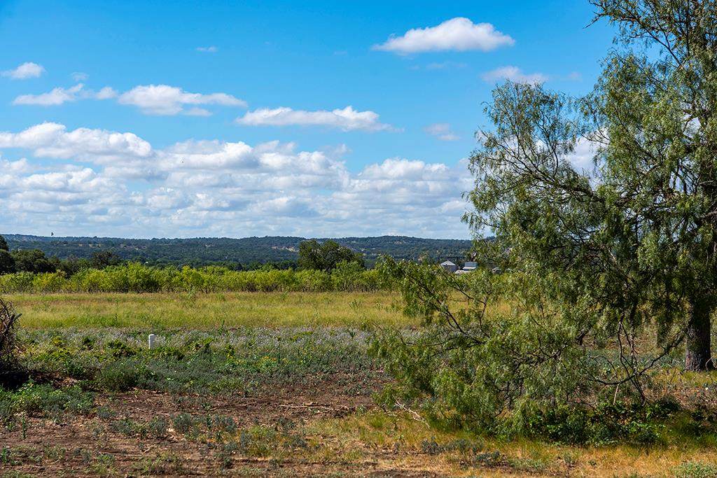 Lot 26 Far View Lane - Photo 1