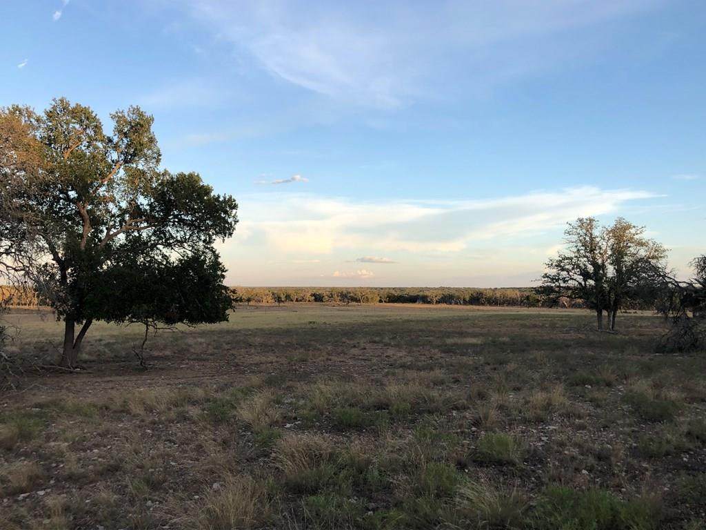 Tract A Mosel Rd - Photo 1