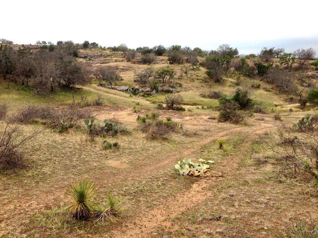 503 Hickory Creek Rd - Photo 1