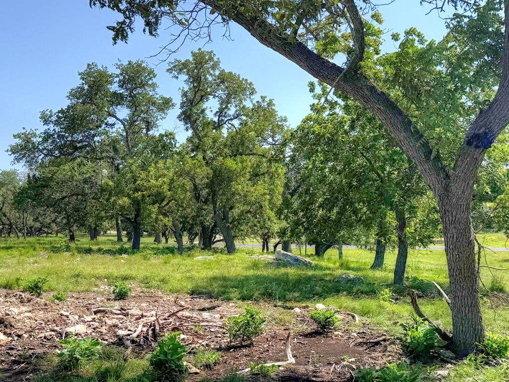 379 Inspiration Loop - Photo 1