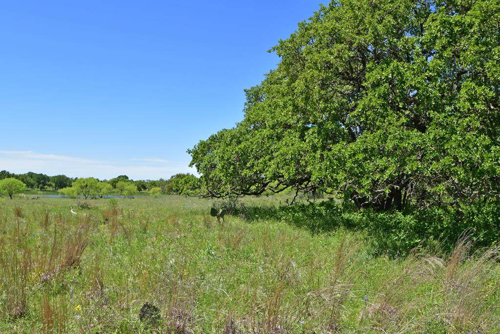 10 Slate Rock Rd - Photo 1