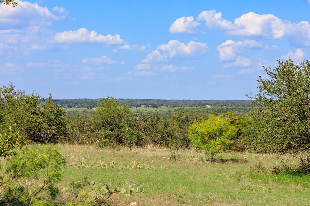 6102 Starks Rd - Photo 1