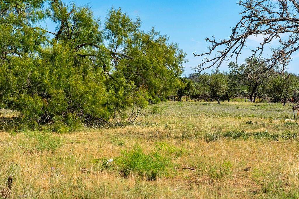 Lot 32 Far View Lane - Photo 1