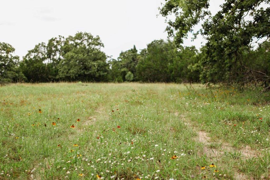 9454 Lower Crabapple Rd - Photo 1