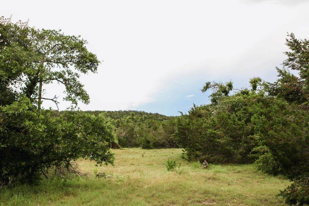 9454 Lower Crabapple Rd - Photo 1