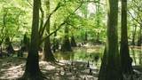 0 East River Road - Photo 14