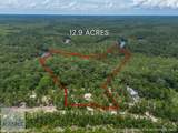 1360 Douglas Fish Camp Road - Photo 11