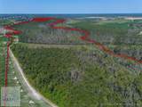 Tract 2 Rhonda Coleman Road - Photo 24