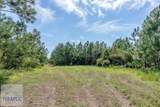 Tract 2 Rhonda Coleman Road - Photo 8