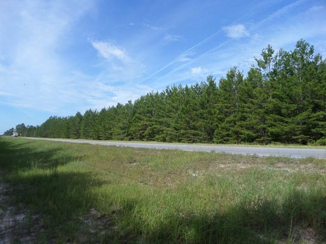 0 Highway 301 South - Photo 1