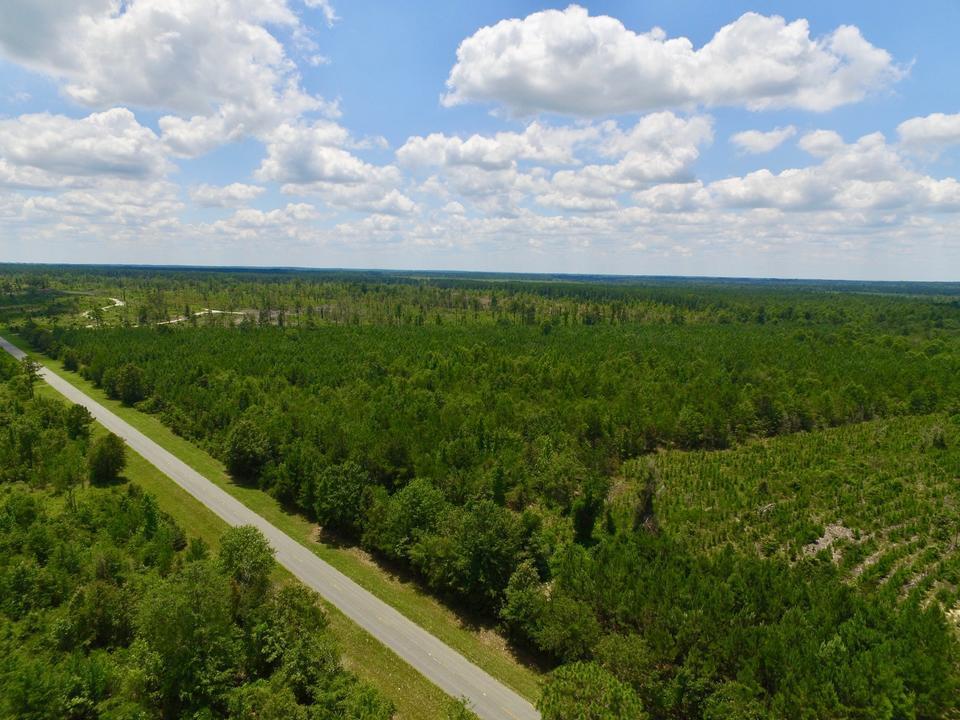 0 Mt Olive Road - Photo 1
