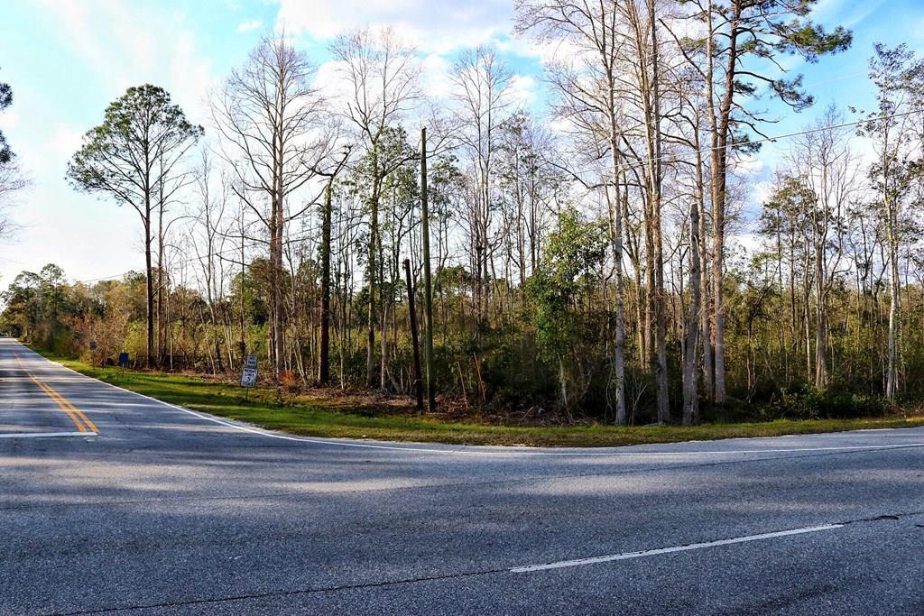 0000 Highway 301 - Photo 1