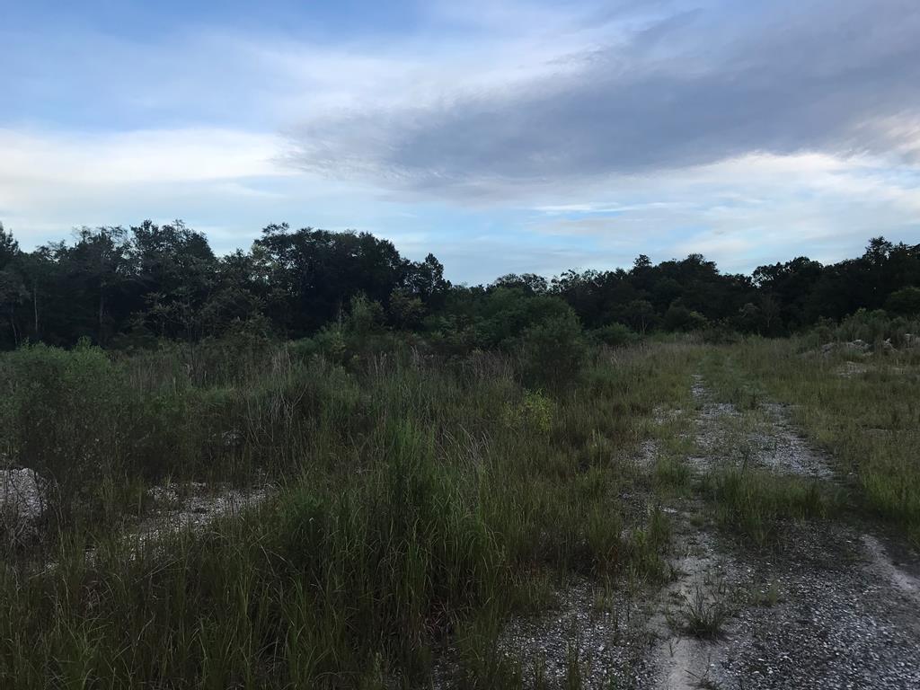 000 South Macon Street - Photo 1