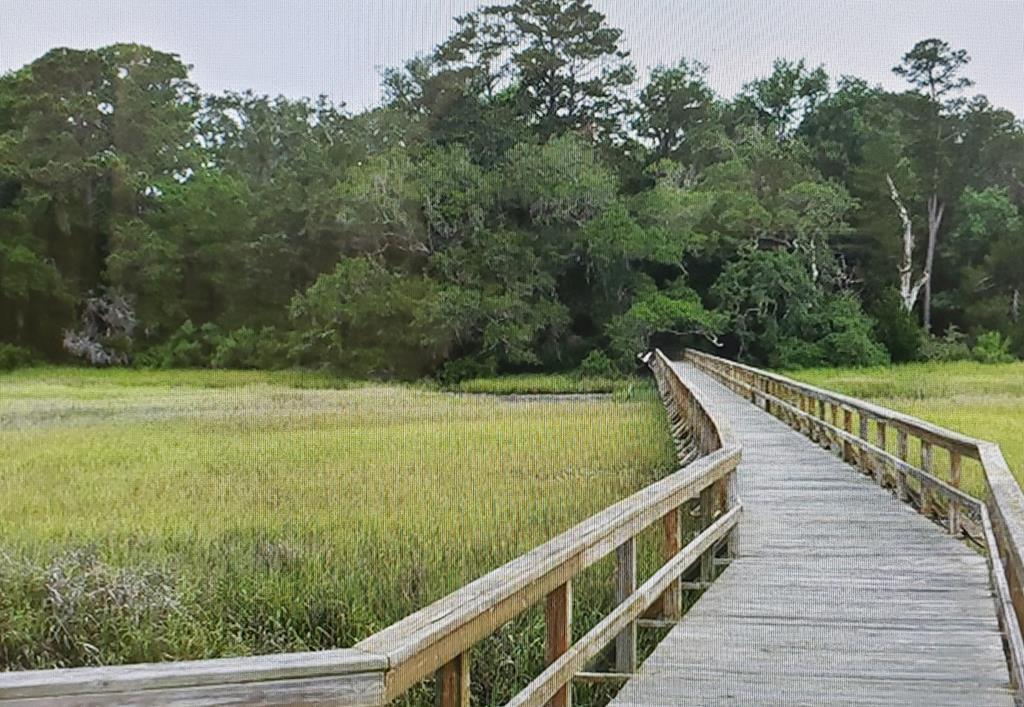 Lot 21 Spartina Way - Photo 1