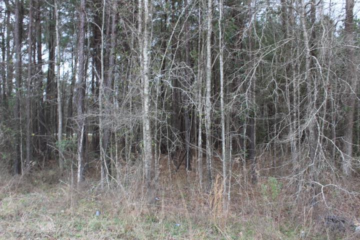 1.6 Leftfield Drive - Photo 1