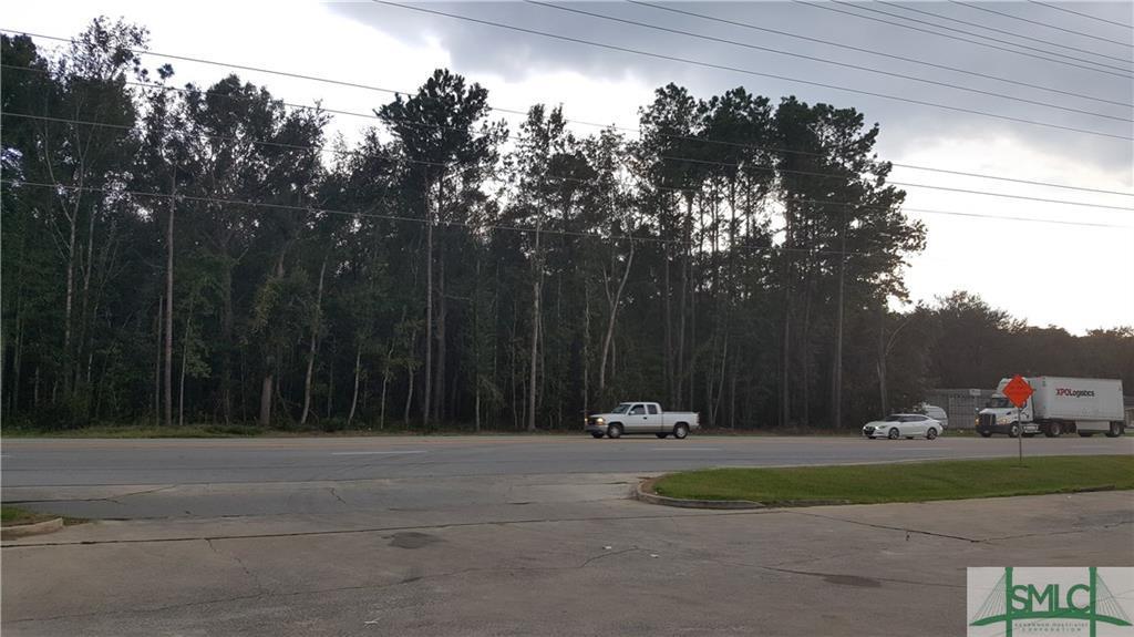 00 East Oglethorpe Highway - Photo 1