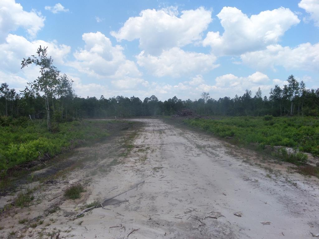 0 Highway 301 South - Photo 1