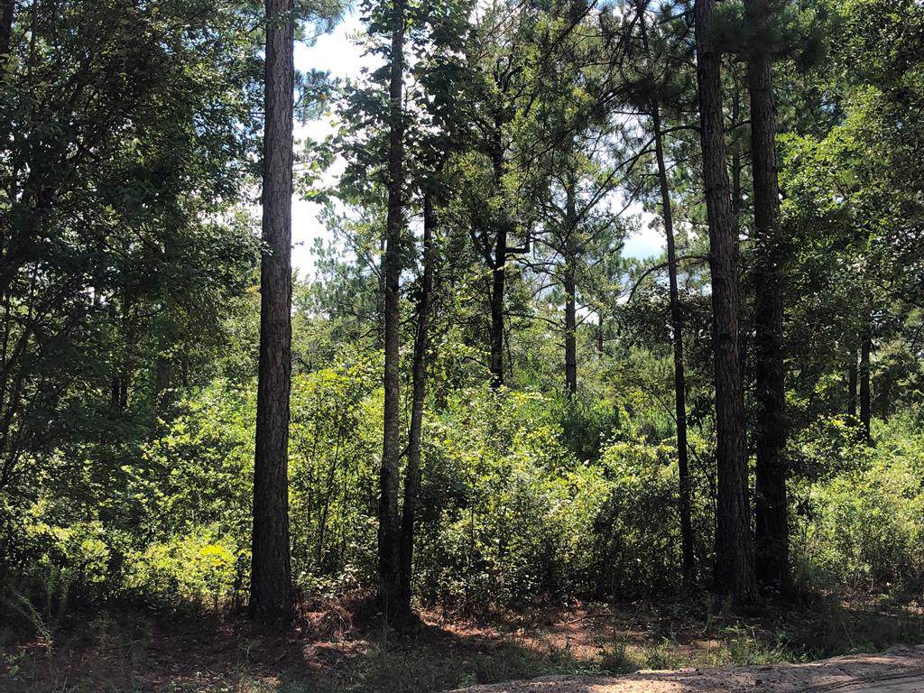 323 James Knight Road - Photo 1